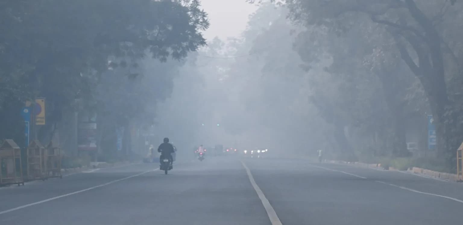 A lone motorcyclist rides down a foggy road lined with trees and streetlights.